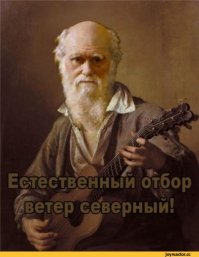 Это просто ПЭ