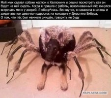 Мой любимый баян...