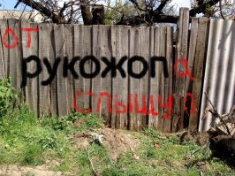 Прикольные картинки из интернета