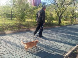 Площадь им. Ленина г.Чита Забайкальский край