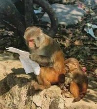 Погоди, там Лоза что-то про Гагарина пишет...