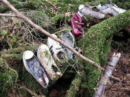 Лес самоубийц Аокигахара у подножья горы Фудзи на японском острове Хонсю. Является вторым по популярности местом в мире для сведения счётов с жизнью. Ежегодно в лесу находят от 70 до 100 тел. Вот там наверняка жутковато...