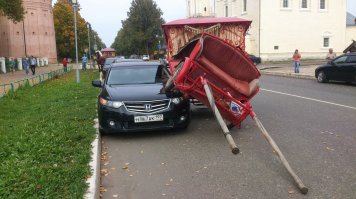Из протокола ДПС: "Лошадь скрылась с места ДТП"