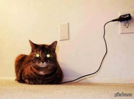 Ага, они это любят.