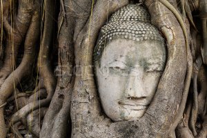 Вот тут ничего не запылилось.