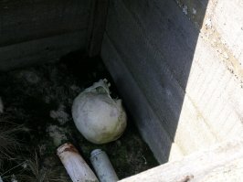 тундровое кладбище. оперативно я оттуда сквозанул, чо ваще туда понесло...