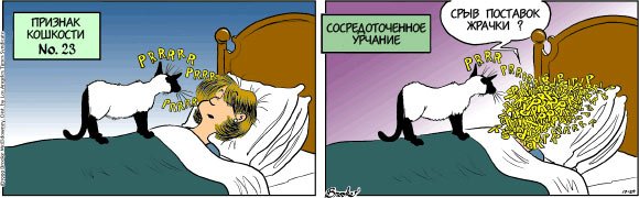 Кот 4-го поколения!