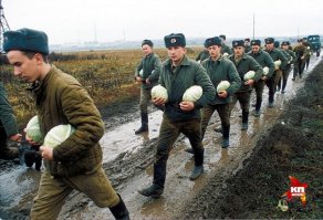 Вот эти времена как вспомню, так вздрогну. Как раз служил. И двухразовое (вместо нормального трёх разового) питание помню, и эти страшные 900 метров капустной гряду каждый день, и свеклу, мать её, с морковкой.
А вы говорите сейчас плохо...