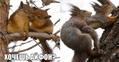 Пришел папа с работы чуть раньше чем обычно...