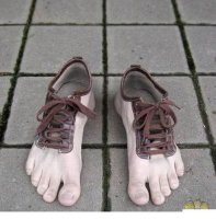 новая обувь украинской Рады