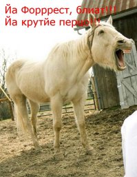 Поднадоело уже бред читать.