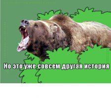 Ага, и когтей нет, и весит как кошечка??? И кормить его не надо, и какать он не ходит?