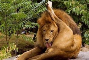 Из этой серии.