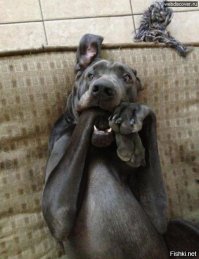 12 фотографий, которые настолько встревожат вас, что вы выбросите компьютер