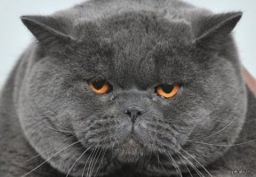 Вот и поиграли  