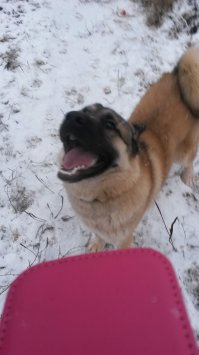 Было и стало...