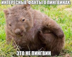 Интересные и занимательные факты 