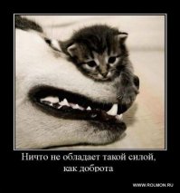 10 фотографий, которые вернут вам веру в человечество