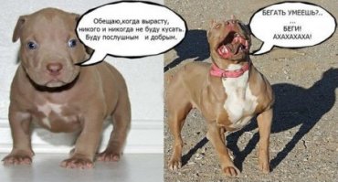 Напомнило :D