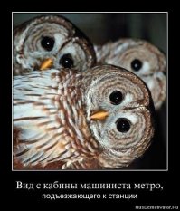 23 причины, по которым не стоит ездить в общественном транспорте