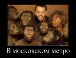 23 причины, по которым не стоит ездить в общественном транспорте