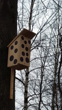 :))))))))))))))
птичку жалко )))))))))))