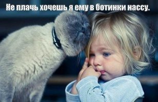 Веселые истории про нас и не про нас 