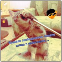 Моя ненаглядная Мира