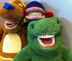 Сумасшедшие фотографии животных, которые точно вас удивят