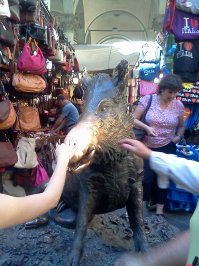 был у этого кабана...сунул ему в пасть рублей наших(мелочь что была) и цыгане тут как тут уже выгребают снизу все...походу разочаровались тогда... а Венеция это рай...только для богатых...