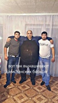 Смешные картинки 