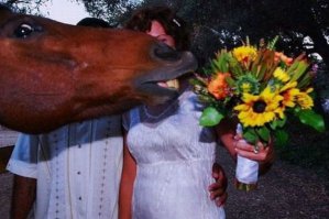 Забавнейшие фотографии животных, которые неожиданно вклинились в селфи 