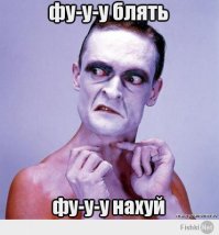 Тысячи гусениц превратили куст в огромный кокон