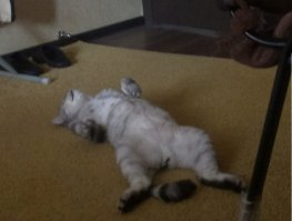 Просыпаюсь я на днях рано утром и вижу это..