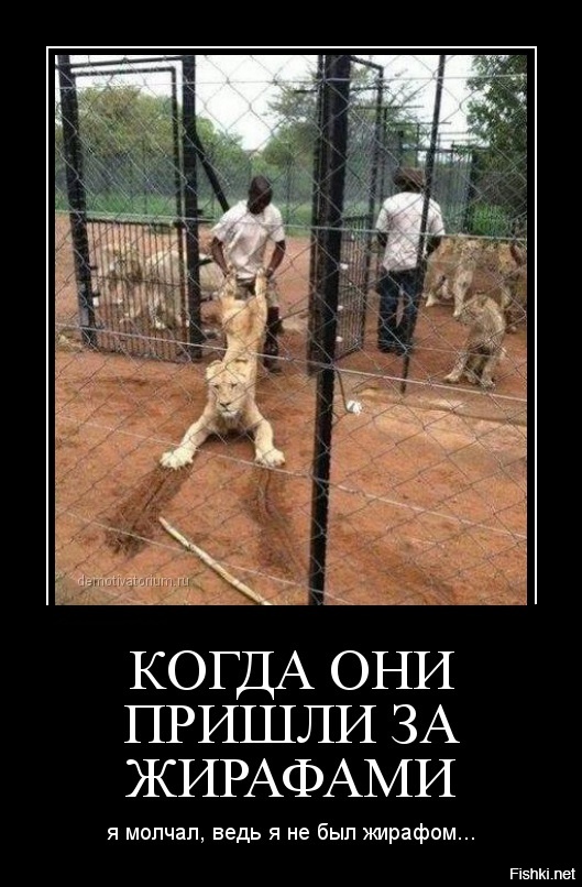Юмор к вечеру понедельника