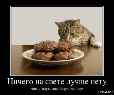 Что делать когда нет своей кровати? 