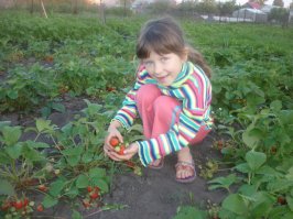 Это вам не в капусте...