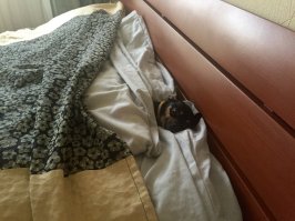 Мне удобно!