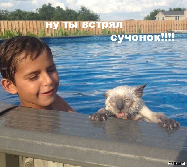Самые веселые картинки