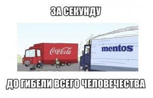 15 забавных фотографий, сделанных в нужный момент 