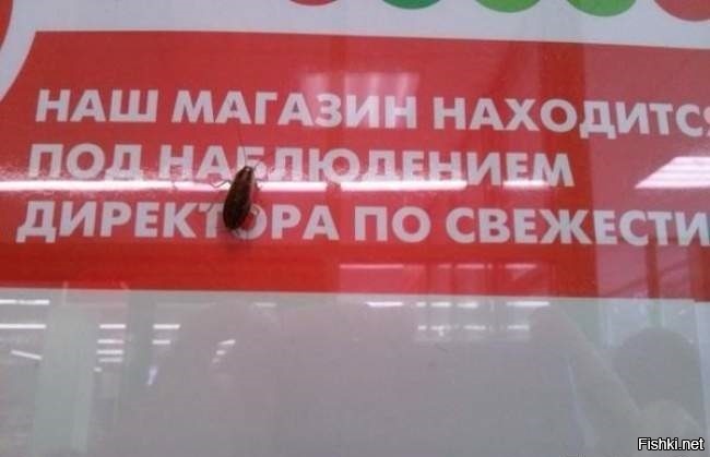 Бывает и не такое: