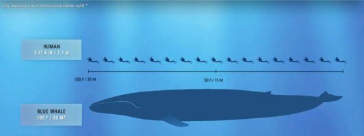 Снимки, после просмотра которых ты в воду ни ногой