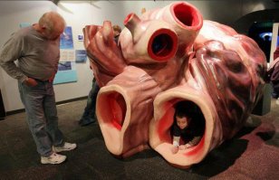 Снимки, после просмотра которых ты в воду ни ногой