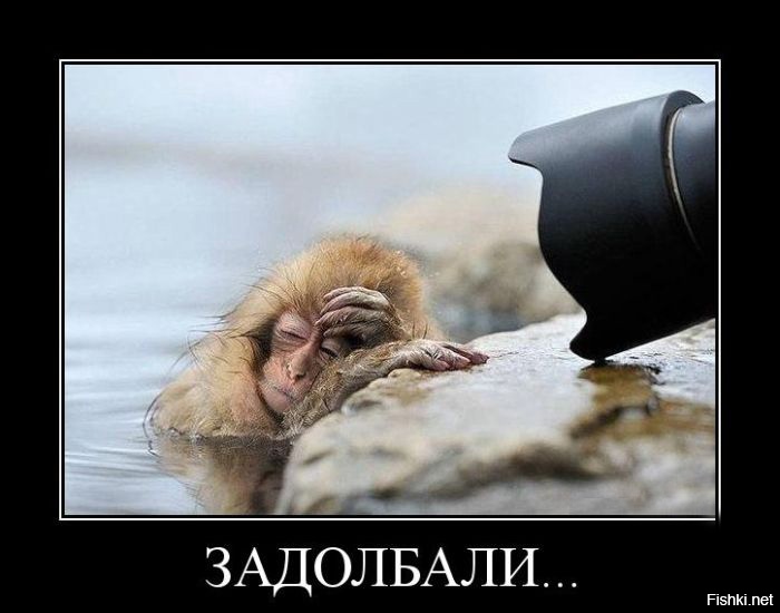 Эти пикантные фотографии знаменитостей никогда не должны были попасть в сеть
