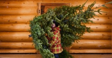 А как же мы. Мы тоже хотим асперинчику на новый год, чтобы подольше постоять!