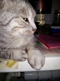 сезон открыт, однако ))
и нас не миновало