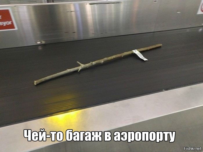Бывшая попросила встретить её в аэропорту?