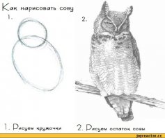 из разряда как нарисовать сову))) только тут: 1) привязяваем шарики к банкомату 2) Забираем деньги и уходим