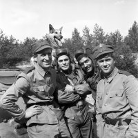 Говорят, еще и новая версия есть - про поляков, Афганистан и моджахеда за рычагами...