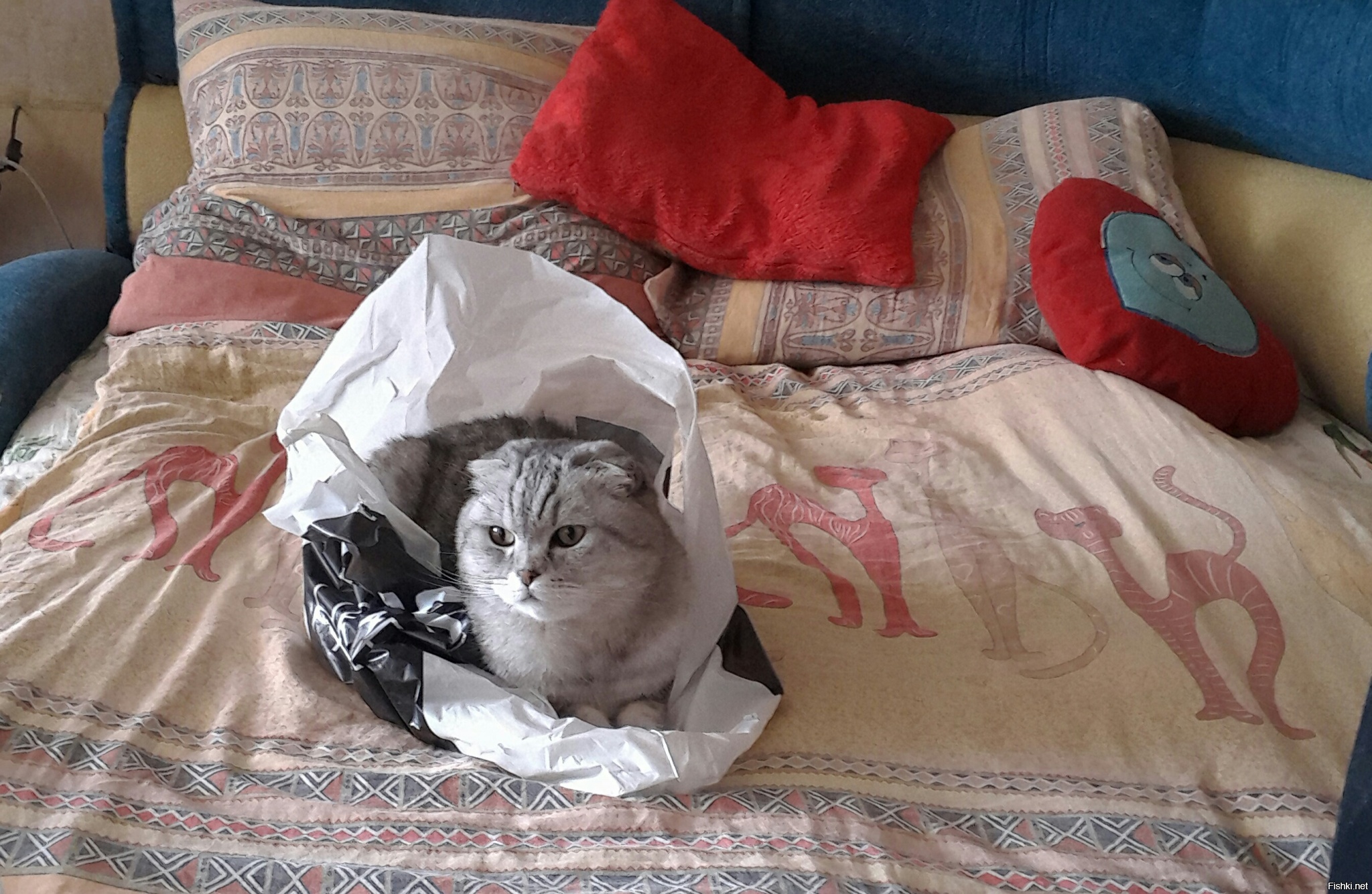 Что делать когда нет своей кровати? 